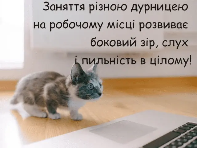 1715266735048.webp