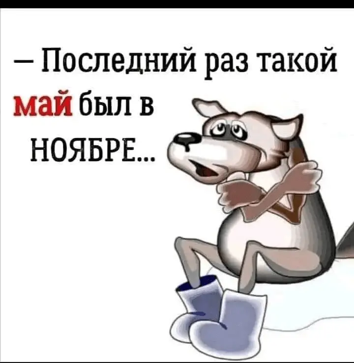 1715778518805.webp