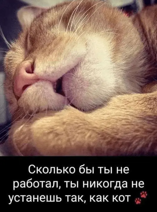 1715778618680.webp