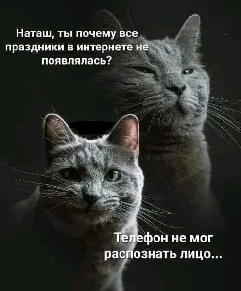 1715782307898.webp
