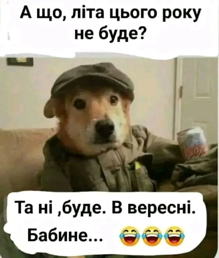 1715782549958.webp