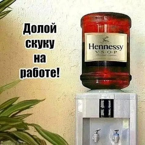 1715928454826.webp