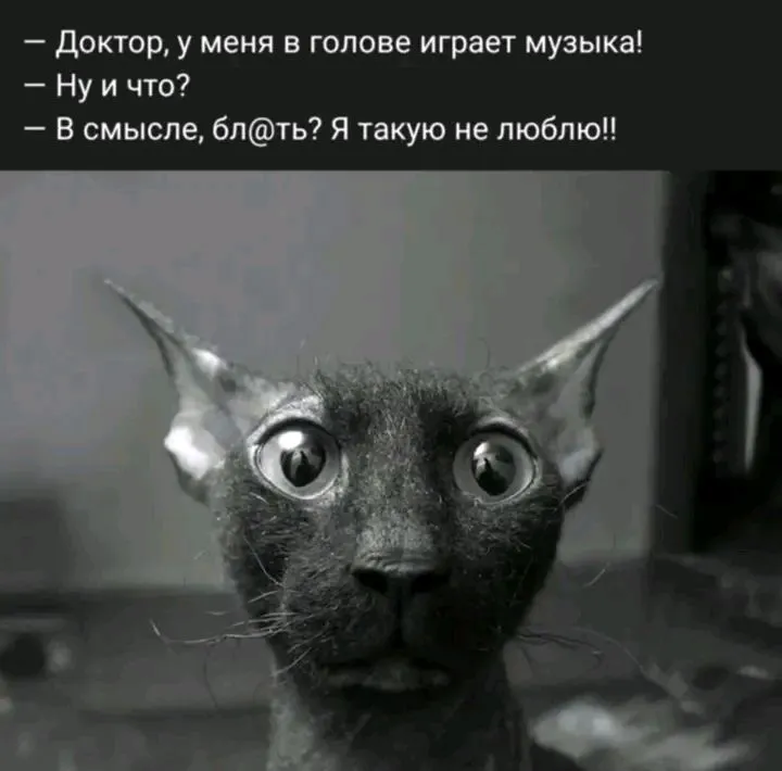 1716044940479.webp