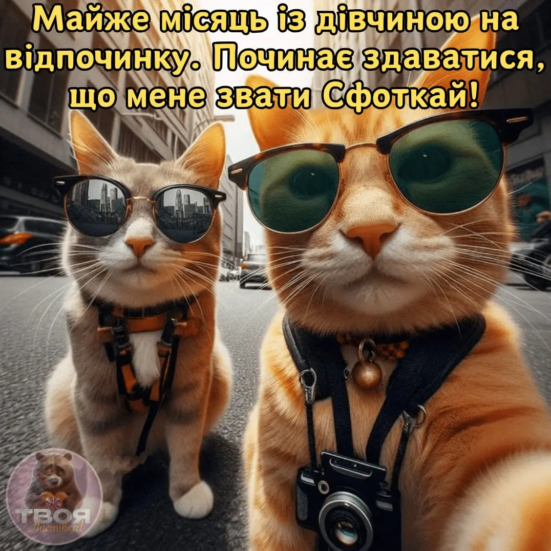 1716117583550.webp