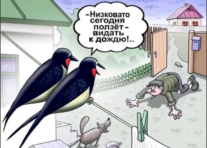 1716149930288.webp