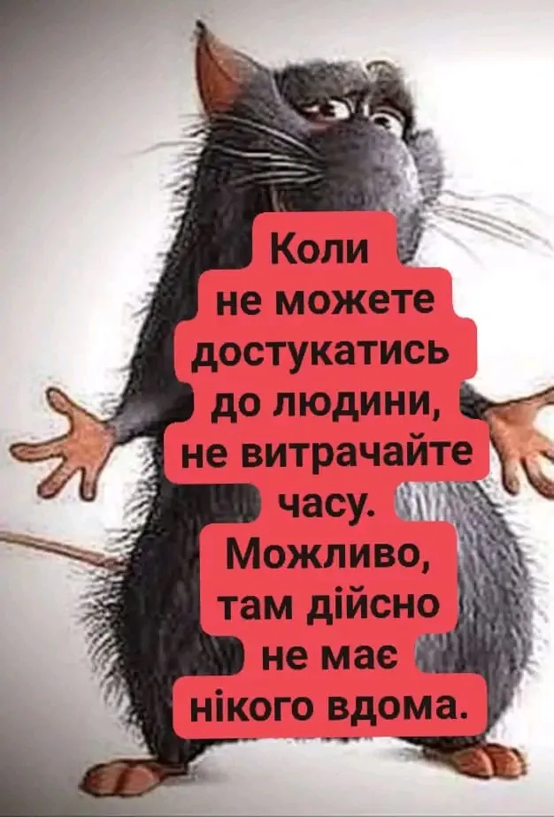 1716201857498.webp