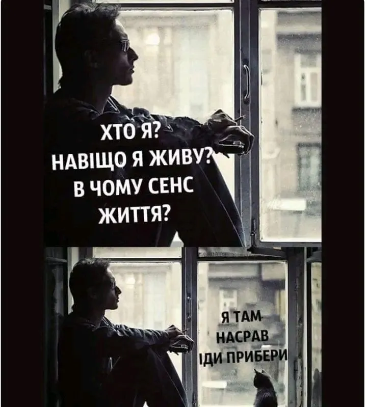 1716234547123.webp