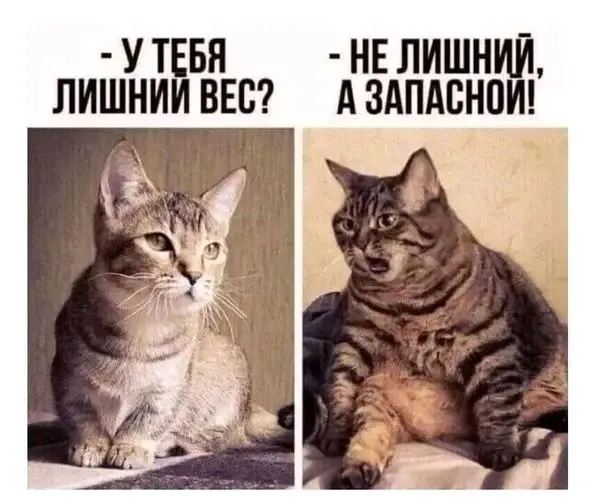 1716235133579.webp