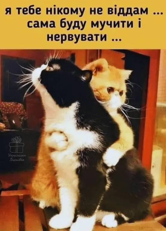 1716289070230.webp