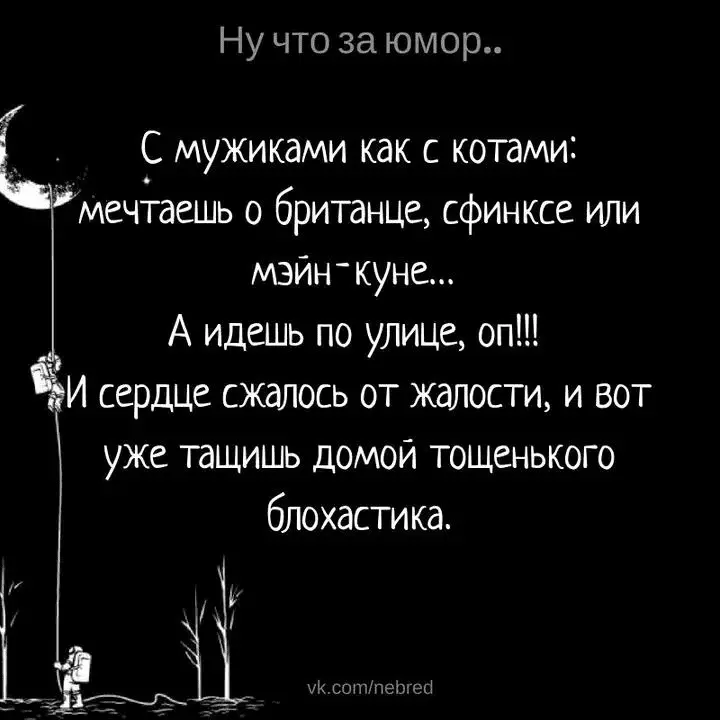 1716313618003.webp