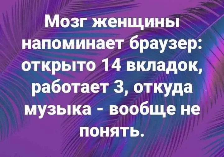1716363219171.webp