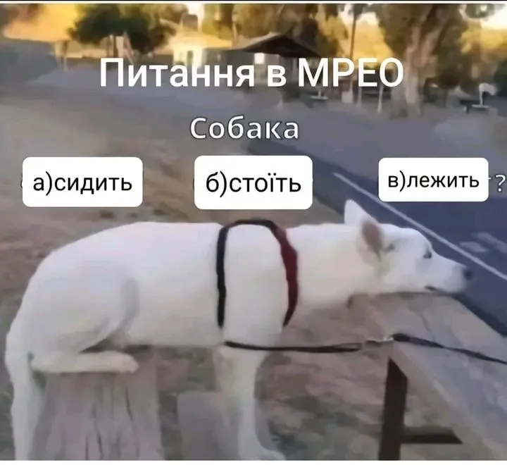 1716390910180.webp