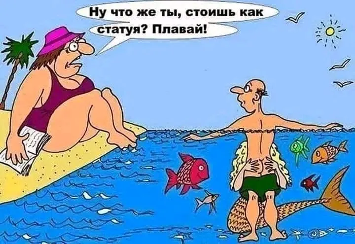 1716406162477.webp