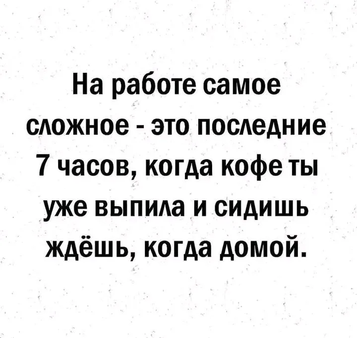 1716491181284.webp