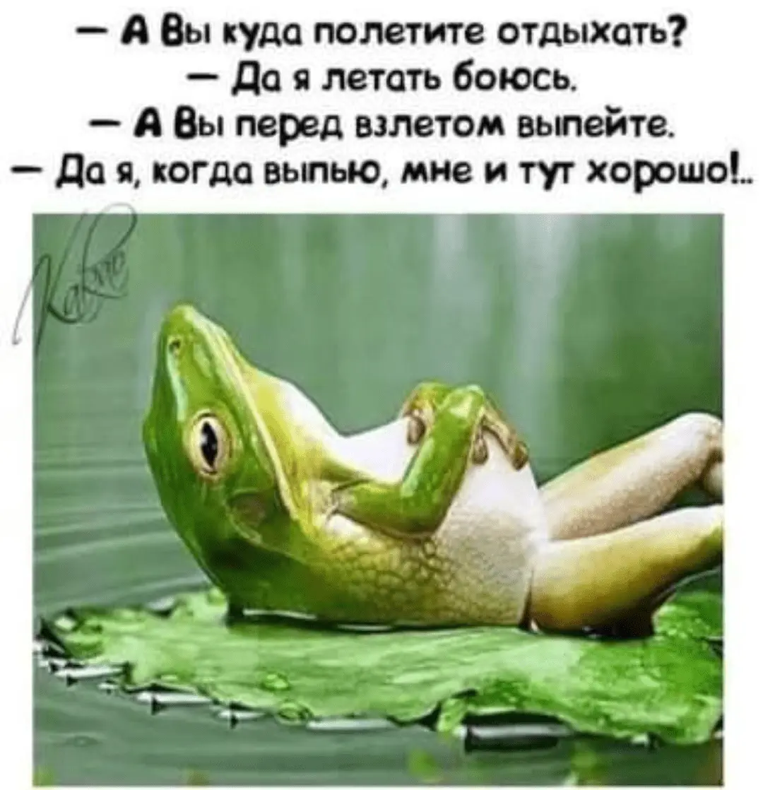 1716557191005.webp