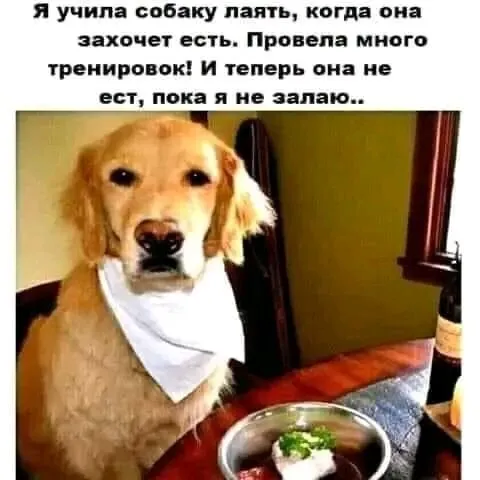 1716564902446.webp