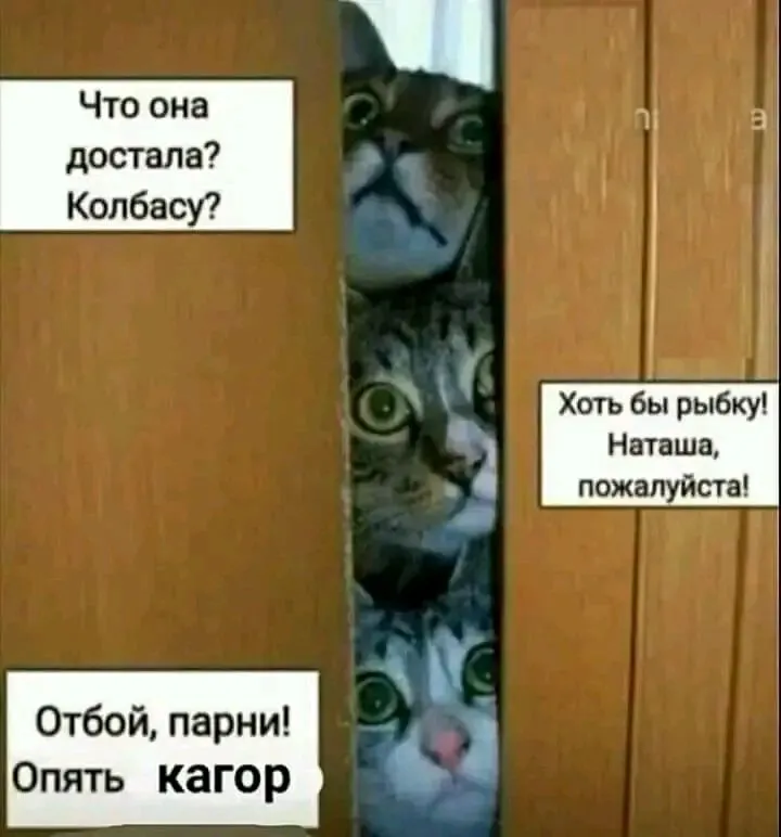 1716612101476.webp