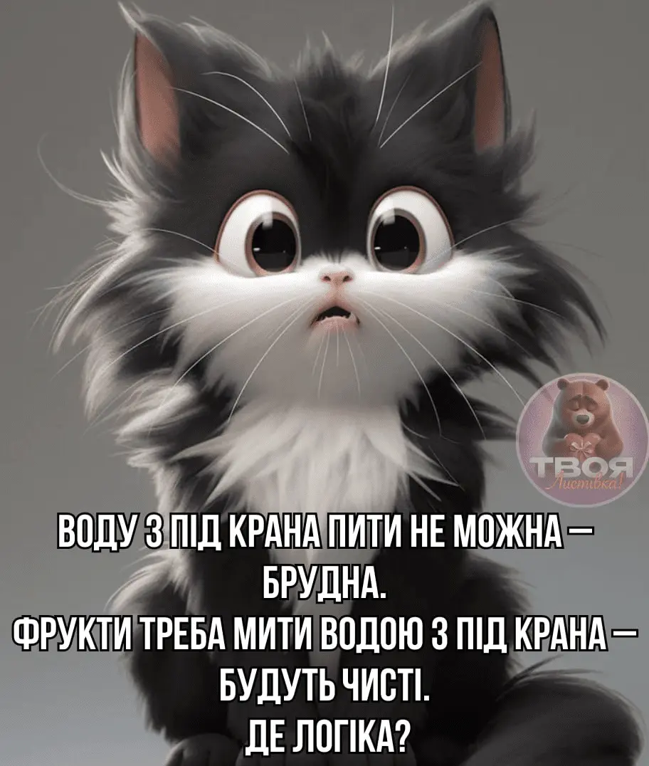 1716658869436.webp