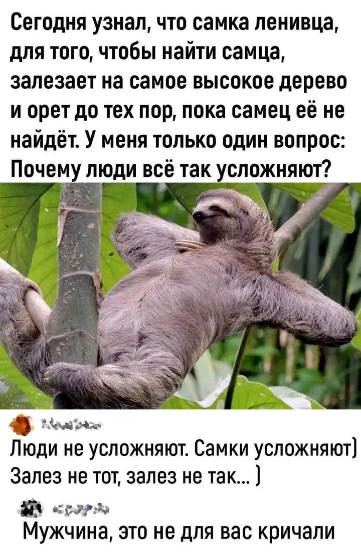 1716703915628.webp