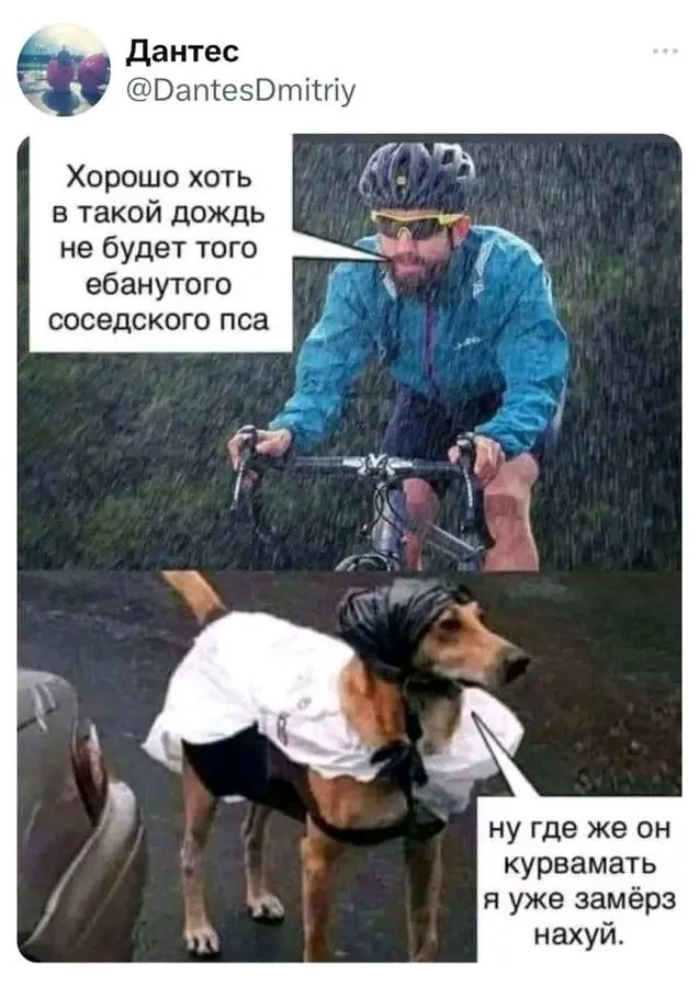 1717092956757.webp