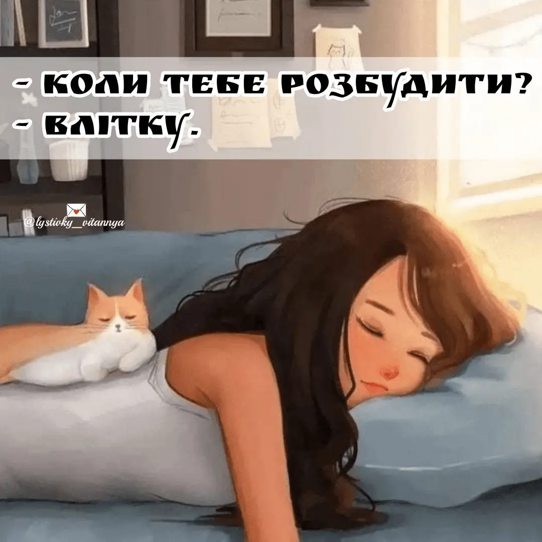 1717240375667.webp