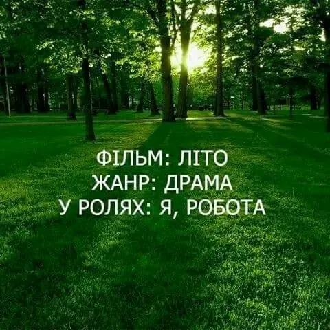 1717333703179.webp