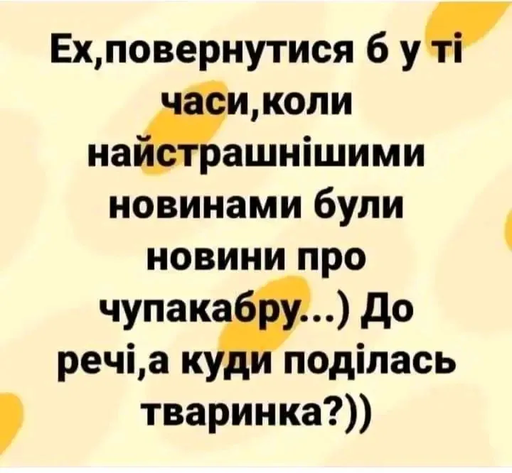 1717492343199.webp