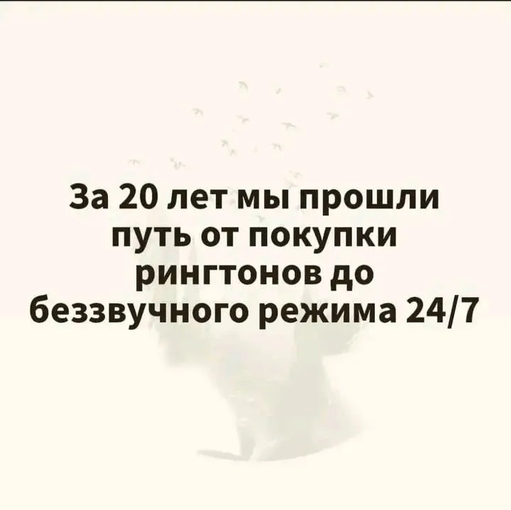 1717494885556.webp