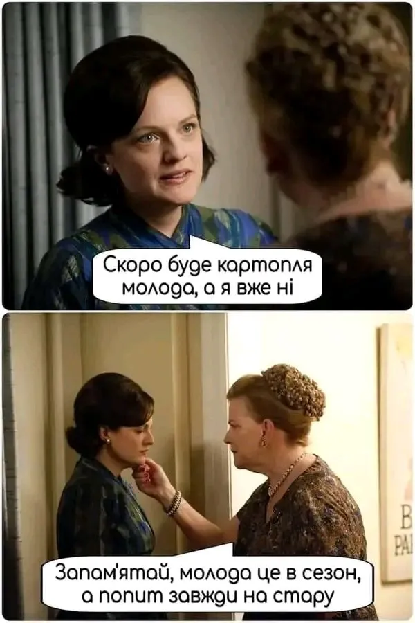 1717497206234.webp