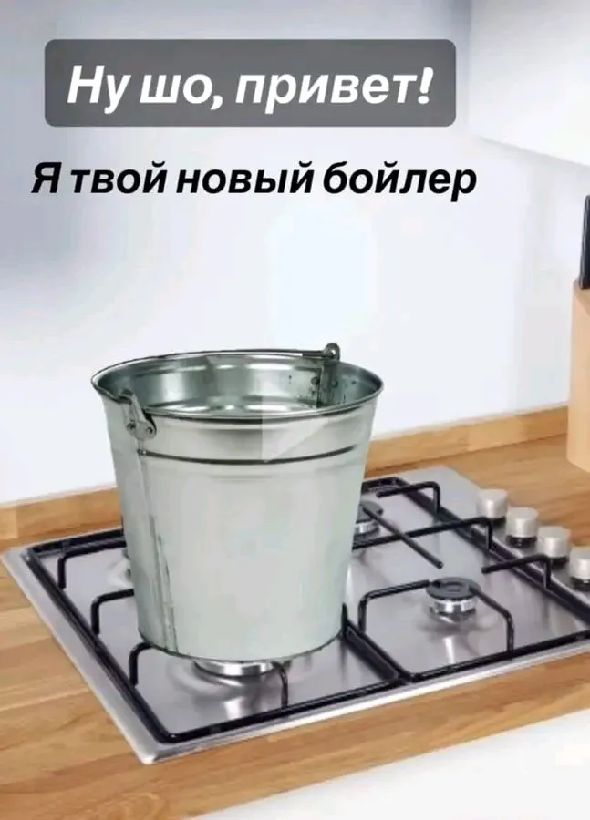 1717668449383.webp