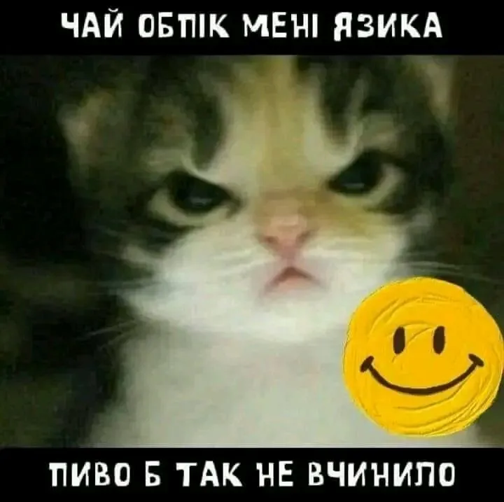 1717831577353.webp
