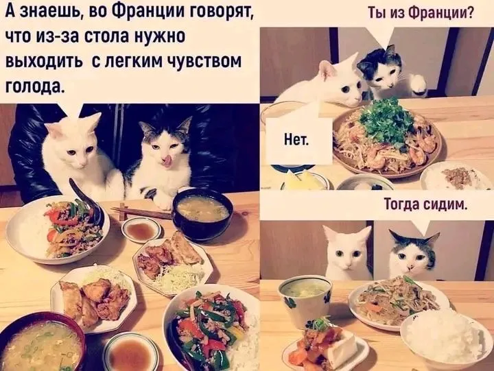 1717844250076.webp