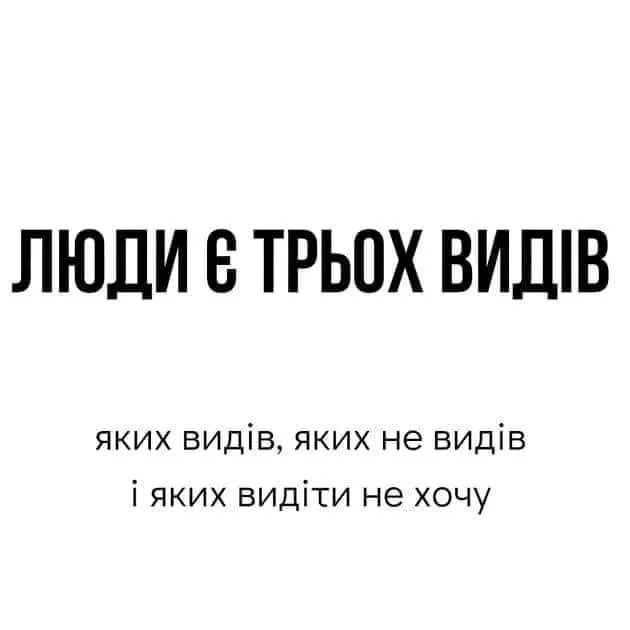 1718107985055.webp
