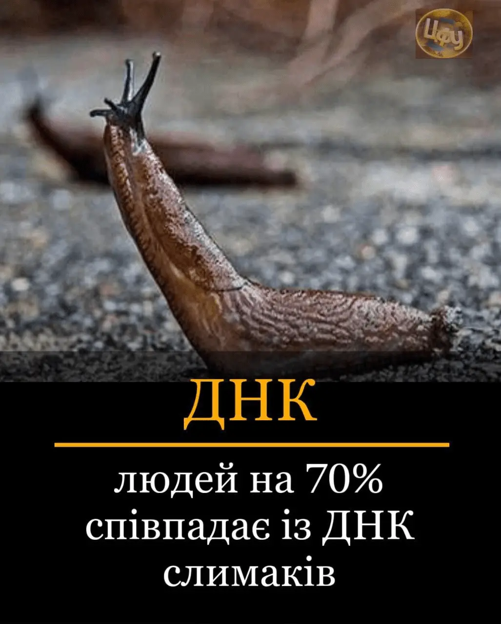 1718134347385.webp