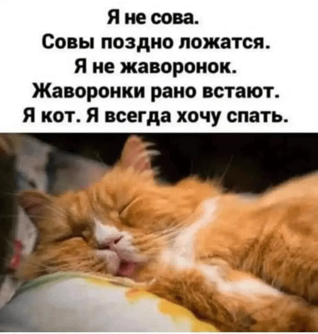 1718134731815.webp