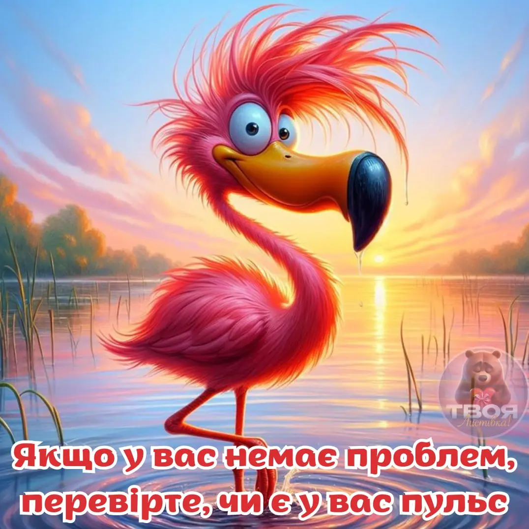 1718298880295.webp