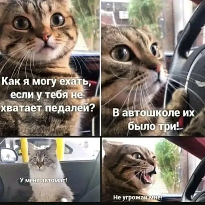 1718308111944.webp