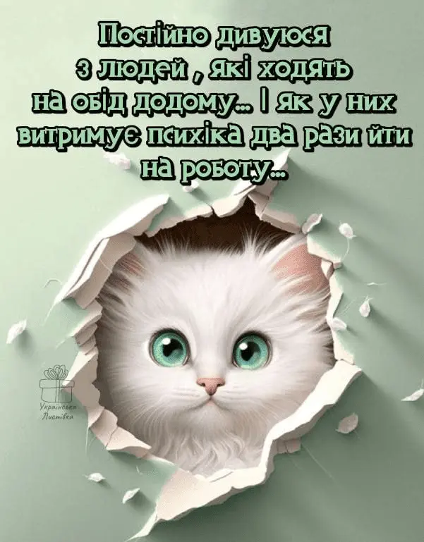 1718868844284.webp