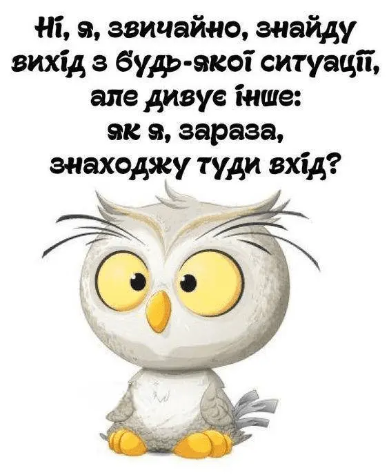 1718868971159.webp