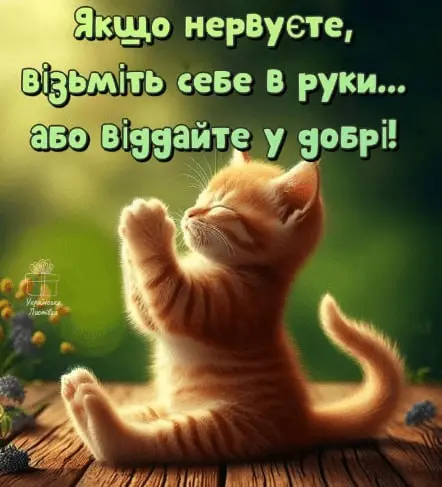 1719165486196.webp