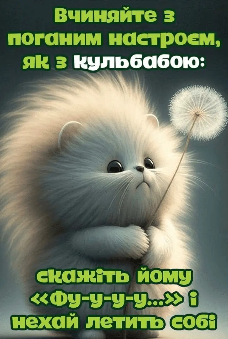 1719251982851.webp
