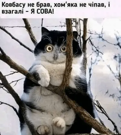1719252260075.webp
