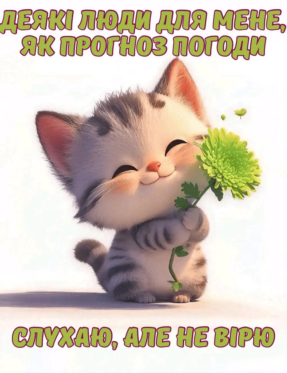 1719500288569.webp