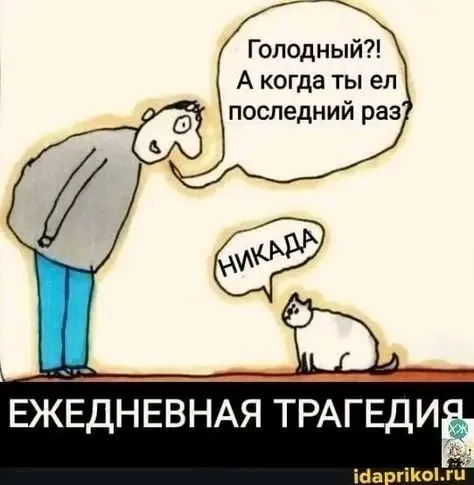 1719581743689.webp
