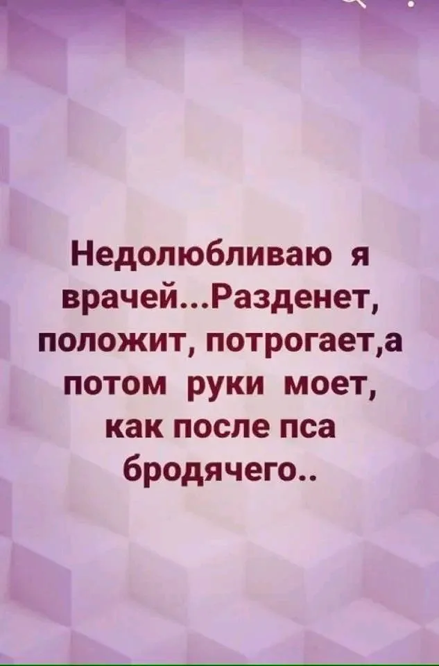 1719589491217.webp