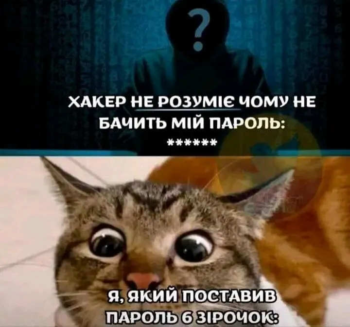 1719592203454.webp