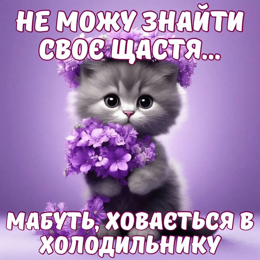 1719688267679.webp