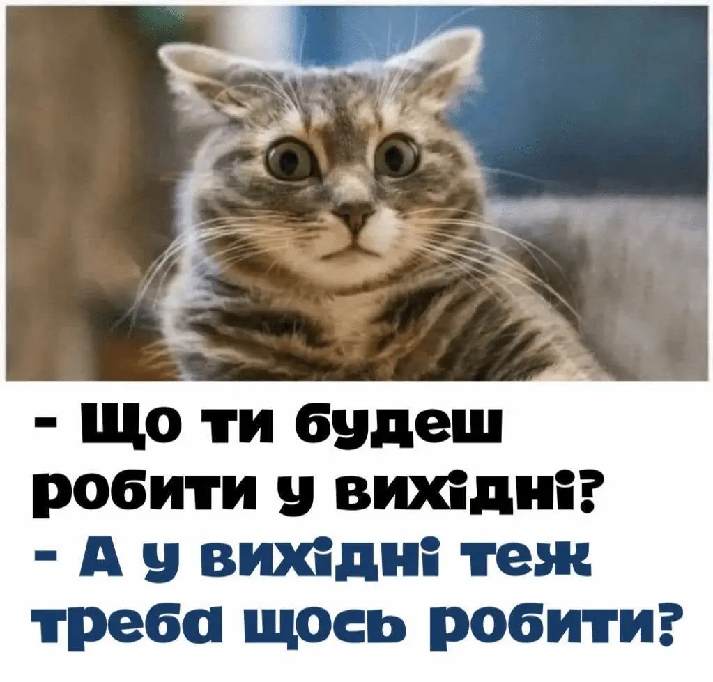 1719688744571.webp