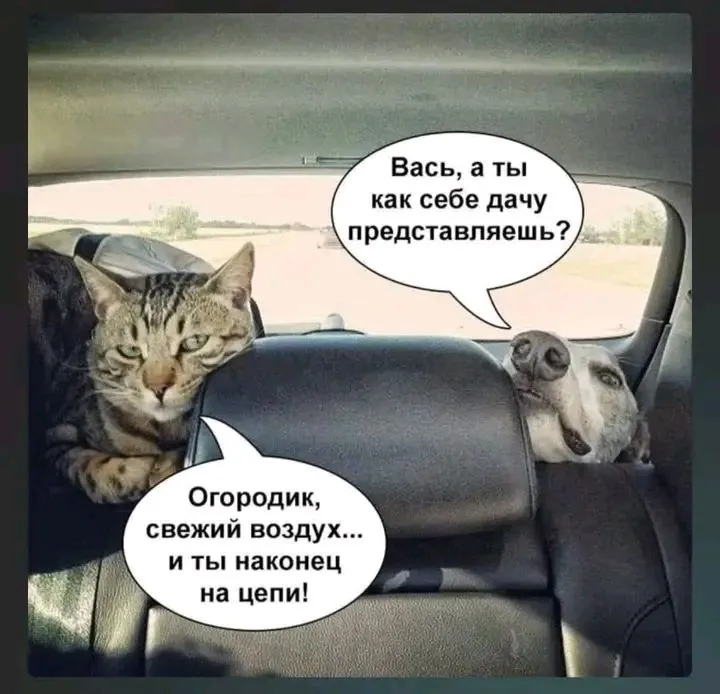 1719824036763.webp