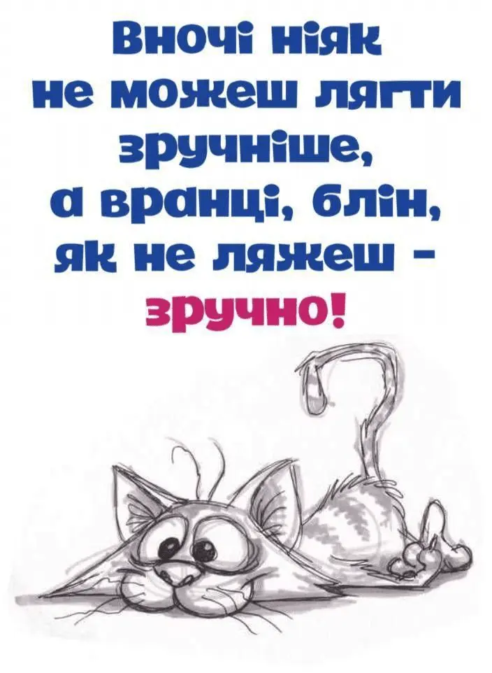 1719954217496.webp